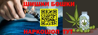 индика Заволжье
