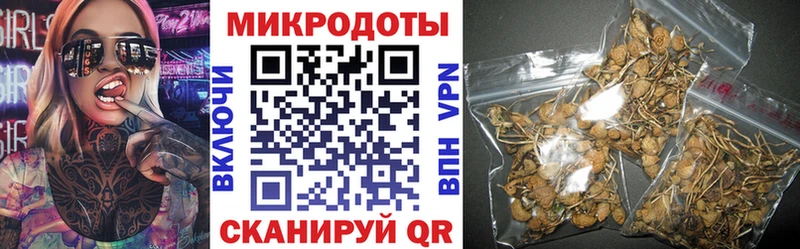 Псилоцибиновые грибы Psilocybine cubensis  Екатеринбург 
