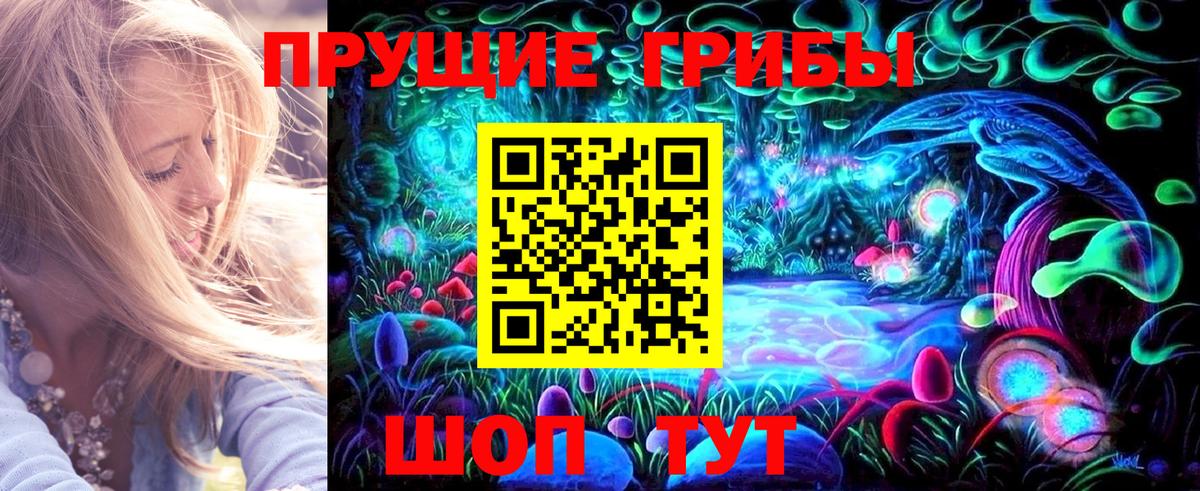 Псилоцибиновые грибы Psilocybine cubensis  Вход с VPN  Екатеринбург 