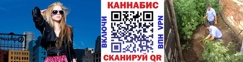 где продают наркотики  Екатеринбург  Шишки марихуана план 